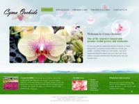 Cyma Orchids